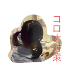 いつの写真？スタンプ（個別スタンプ：13）
