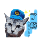 我が家の子分が申す（個別スタンプ：5）