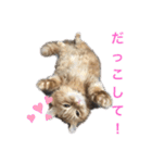 キンカローのはんぺん2（個別スタンプ：2）