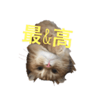 キンカローのはんぺん2（個別スタンプ：7）