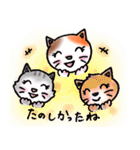 ねこまる みー（個別スタンプ：3）