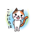 ねこまる みー（個別スタンプ：5）