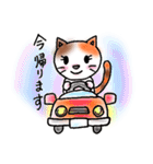 ねこまる みー（個別スタンプ：11）