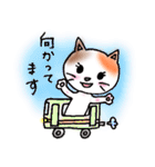 ねこまる みー（個別スタンプ：13）
