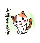 ねこまる みー（個別スタンプ：16）