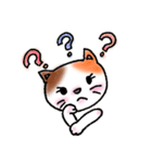 ねこまる みー（個別スタンプ：24）