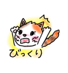 ねこまる みー（個別スタンプ：30）