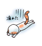 ねこまる みー（個別スタンプ：35）