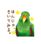 もっと、も〜っと、トリもっと！（個別スタンプ：2）