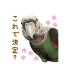 もっと、も〜っと、トリもっと！（個別スタンプ：3）