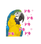 もっと、も〜っと、トリもっと！（個別スタンプ：6）