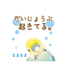 もっと、も〜っと、トリもっと！（個別スタンプ：11）