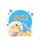 もっと、も〜っと、トリもっと！（個別スタンプ：12）