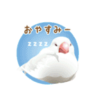 もっと、も〜っと、トリもっと！（個別スタンプ：13）
