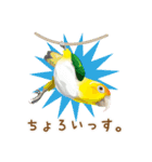 もっと、も〜っと、トリもっと！（個別スタンプ：16）