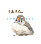 もっと、も〜っと、トリもっと！（個別スタンプ：18）