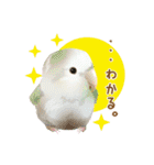 もっと、も〜っと、トリもっと！（個別スタンプ：20）