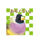 もっと、も〜っと、トリもっと！（個別スタンプ：21）
