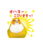もっと、も〜っと、トリもっと！（個別スタンプ：23）