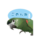 もっと、も〜っと、トリもっと！（個別スタンプ：27）