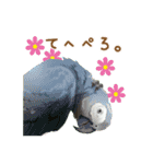 もっと、も〜っと、トリもっと！（個別スタンプ：28）