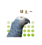もっと、も〜っと、トリもっと！（個別スタンプ：30）