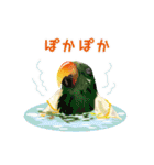 もっと、も〜っと、トリもっと！（個別スタンプ：32）