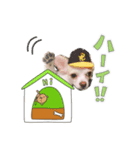 野口家の翔ちゃん（個別スタンプ：2）