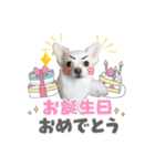 野口家の翔ちゃん（個別スタンプ：3）