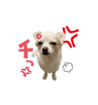 野口家の翔ちゃん（個別スタンプ：6）