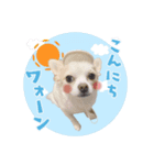 野口家の翔ちゃん（個別スタンプ：7）