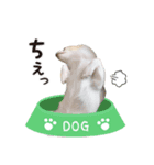 野口家の翔ちゃん（個別スタンプ：8）