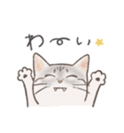 日常！表情豊かなねこたち（個別スタンプ：1）