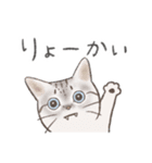 日常！表情豊かなねこたち（個別スタンプ：2）