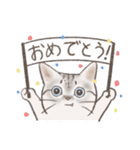 日常！表情豊かなねこたち（個別スタンプ：4）