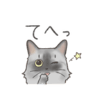 日常！表情豊かなねこたち（個別スタンプ：5）