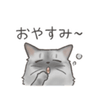 日常！表情豊かなねこたち（個別スタンプ：6）