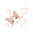 日常！表情豊かなねこたち（個別スタンプ：10）