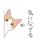 日常！表情豊かなねこたち（個別スタンプ：11）