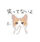 日常！表情豊かなねこたち（個別スタンプ：12）