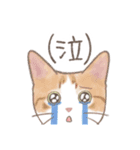 日常！表情豊かなねこたち（個別スタンプ：13）