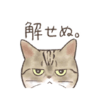 日常！表情豊かなねこたち（個別スタンプ：14）
