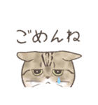 日常！表情豊かなねこたち（個別スタンプ：16）