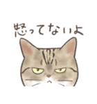 日常！表情豊かなねこたち（個別スタンプ：17）