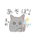 日常！表情豊かなねこたち（個別スタンプ：19）