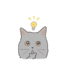 日常！表情豊かなねこたち（個別スタンプ：20）