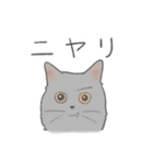 日常！表情豊かなねこたち（個別スタンプ：21）