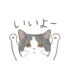 日常！表情豊かなねこたち（個別スタンプ：23）