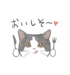 日常！表情豊かなねこたち（個別スタンプ：25）