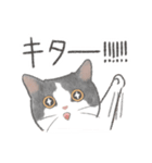 日常！表情豊かなねこたち（個別スタンプ：26）